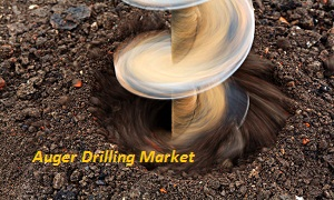 Auger Drilling, By Type, Estimates and Forecast, 2018-2025'