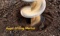 Auger Drilling, By Type, Estimates and Forecast, 2018-2025