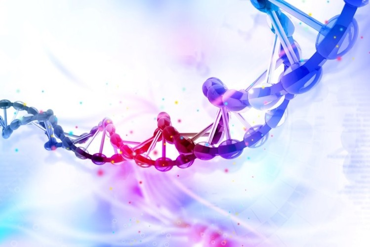 Viral Vectors and Plasmid DNA Manufacturing'
