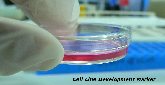 Cell Line Development Market Set To Experience Revolutionary