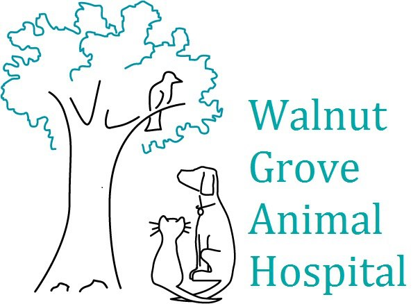 Company Logo For Walnut Grove Animal Clinic'