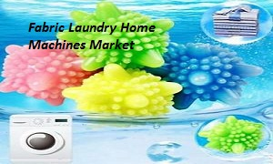 Fabric Laundry Home Machines Market