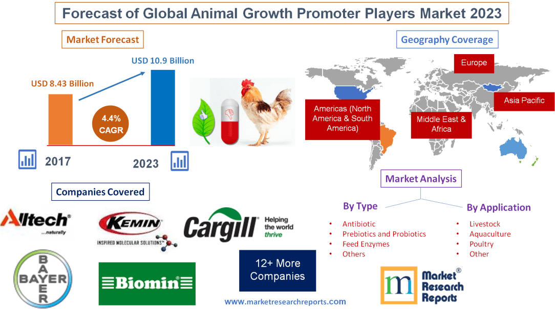 Forecast of Global Animal Growth Promoter Players Market'