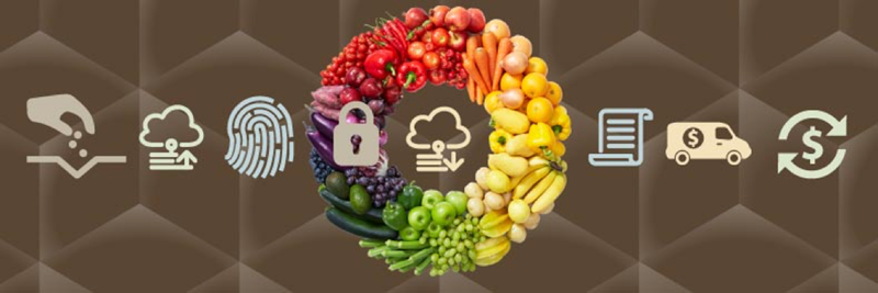 Blockchain in Food Supply Chain Market Research Report 2018'