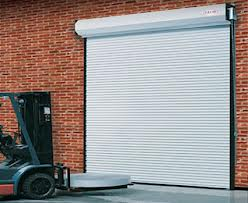 Company Logo For Garage Door Repair Edmonton'