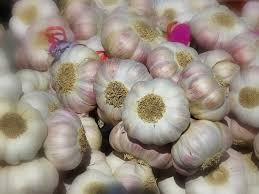 Global Garlic Seeds Market by Comprehensive Market Study wit