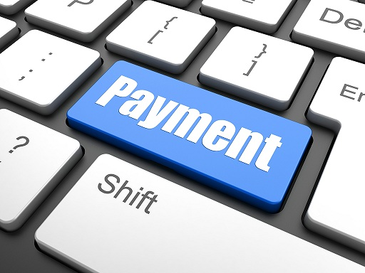 Digital Payment Software Market