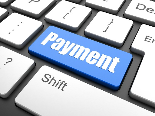 Digital Payment Software Market'