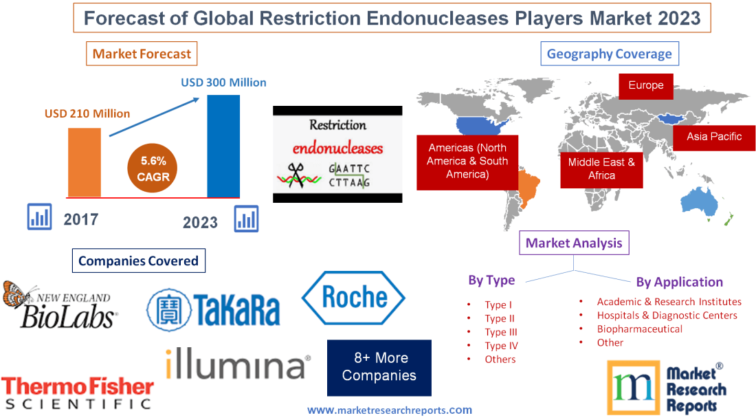 Forecast of Global Restriction Endonucleases Players Market'