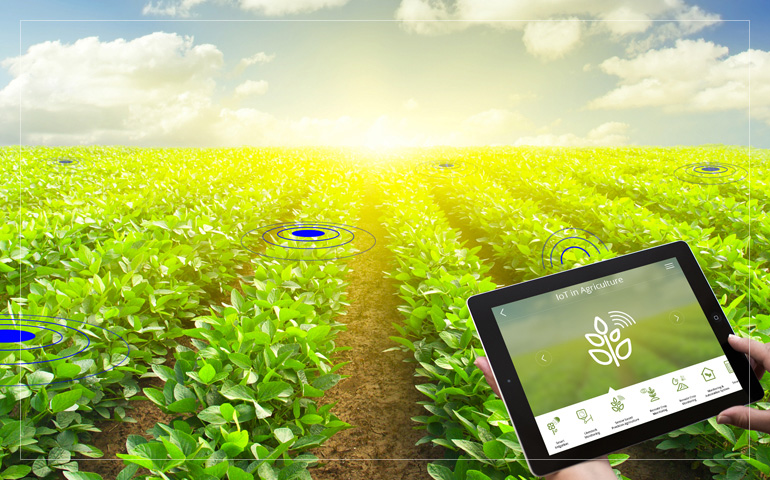 IoT in Agriculture Market