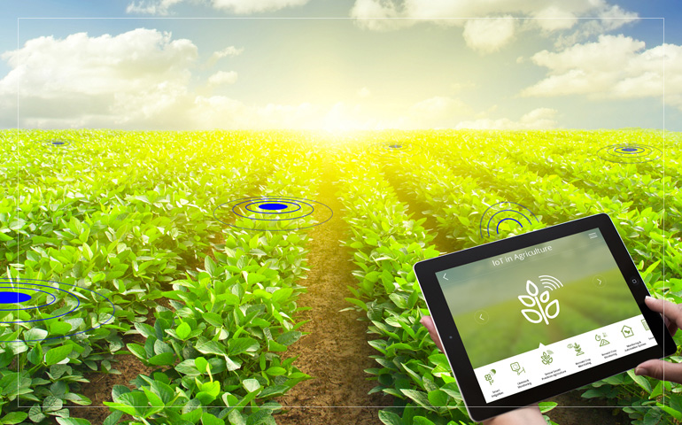 IoT in Agriculture Market'