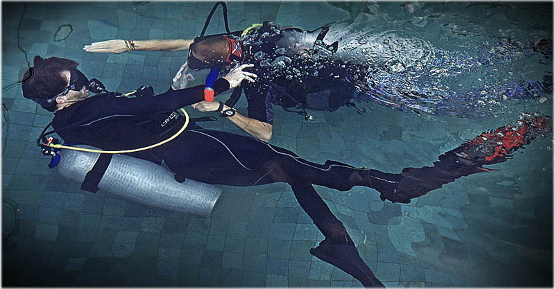 The PADI Gili Islands Scuba Diving'