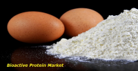 Bioactive Protein Market