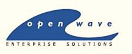 Ecommerce Development Company'