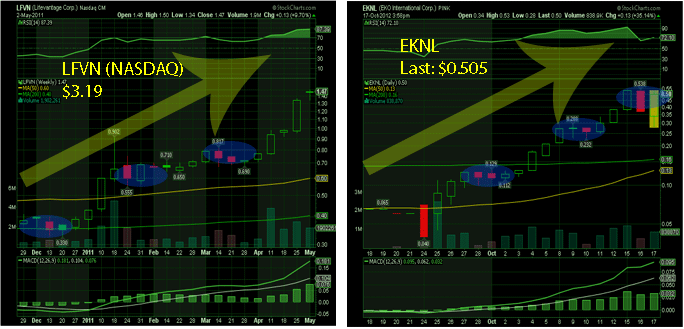EKNL LFVN Comparison'