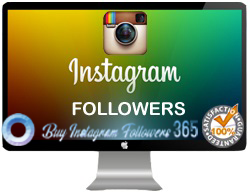 Company Logo For Buy Instagram Followers 365'