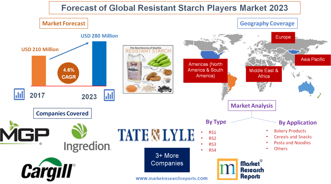 Forecast of Global Resistant Starch Players Market 2023'