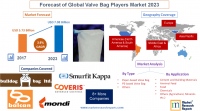Forecast of Global Valve Bag Players Market 2023