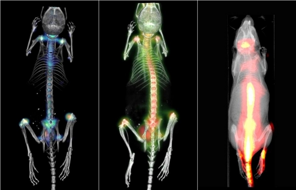 Small Animal Imaging Market'