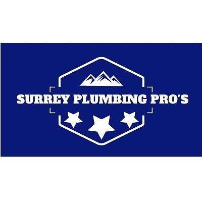 Company Logo For Surrey Plumbing Pro's'