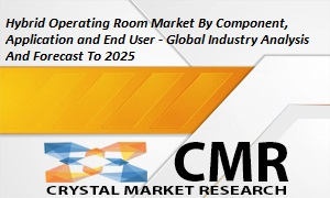 Hybrid Operating Room Market