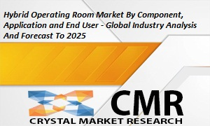 Hybrid Operating Room Market'