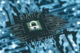 Domestic Information Security Market'