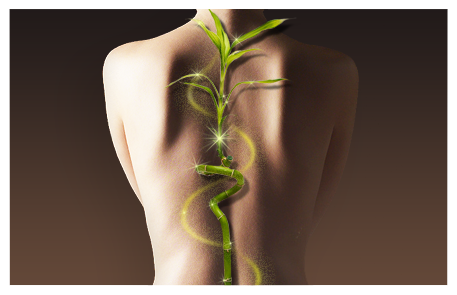 New Chiropractor Care Center in Woodbury'