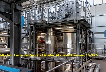 Water Tube Industrial Boiler Market Demand 2025'