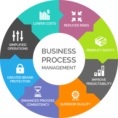Business Process Management Market'