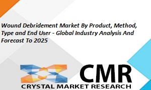Wound Debridement Market