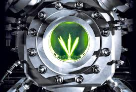 E-Fuel'