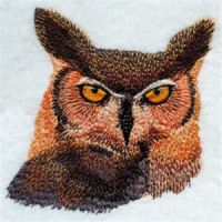 Apex Embroidery Logo