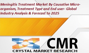 Meningitis Treatment Market