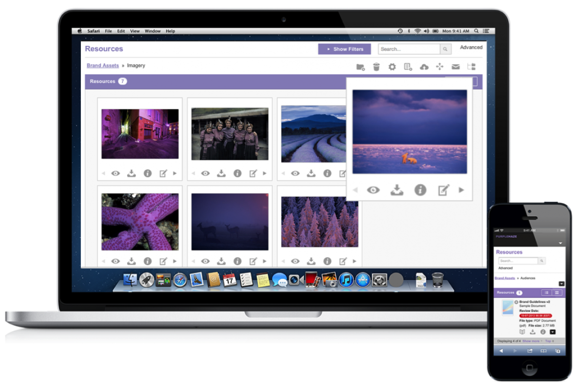 Digital Asset Management (DAM) Software Market