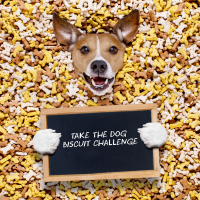 The Dog Biscuit Challenge