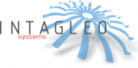 Intagleo Systems Logo