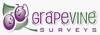grapevine solutions'