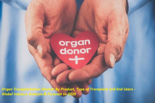 Organ Transplantation Market'