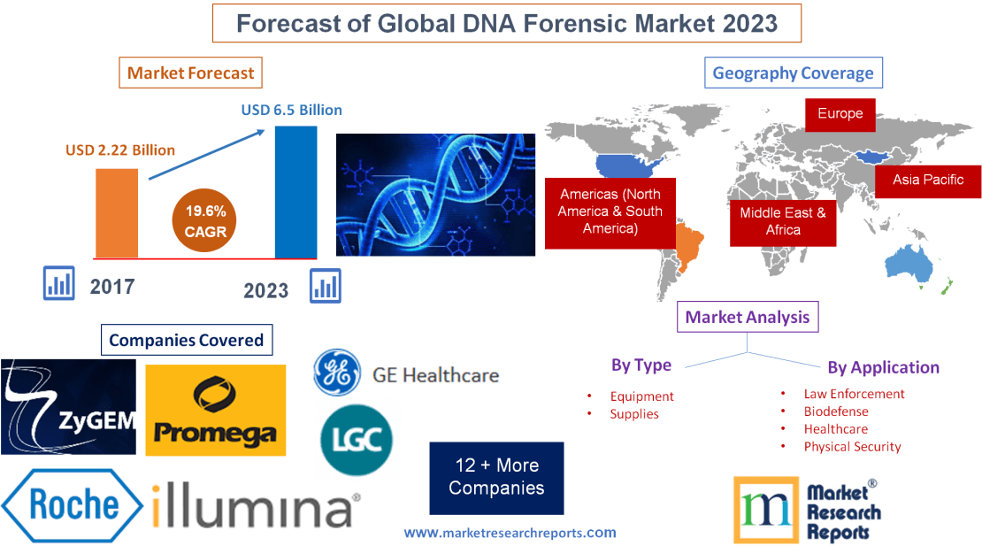 Forecast of Global DNA Forensic Market 2023'