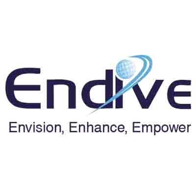 Endive Software Pvt Ltd Logo