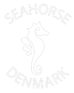 Company Logo For Dry seahorse for sale'