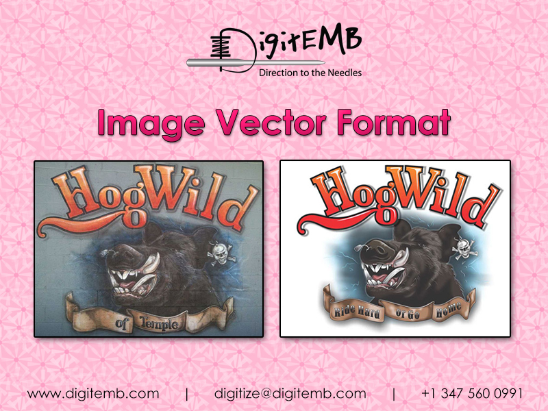 Image Vector Format'