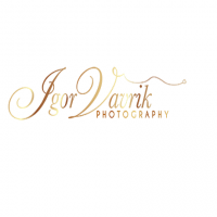 Vavrik Photography Logo