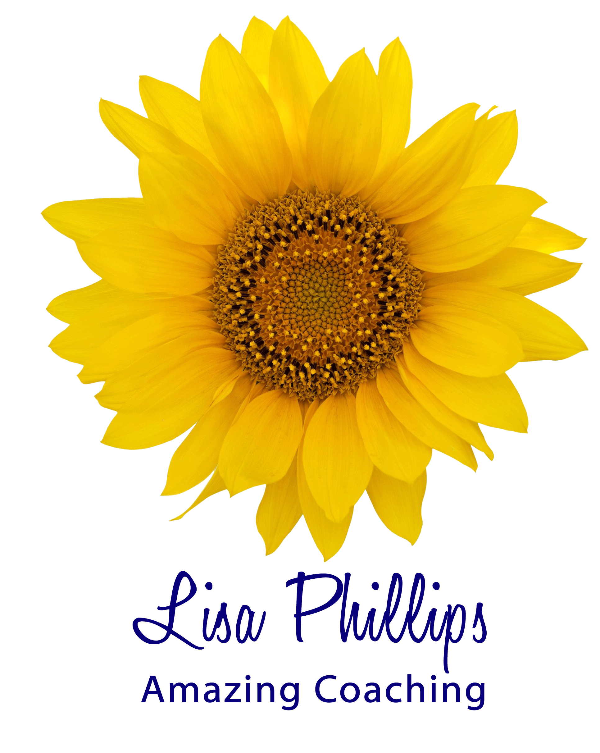 Lisa Phillips – Experienced Life Coach'