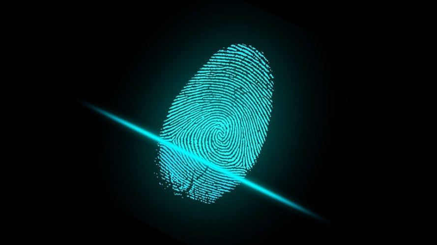 Automated Fingerprint Identification System Market'