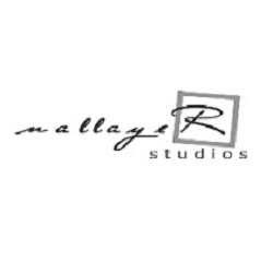 Company Logo For Nallayer Studios'