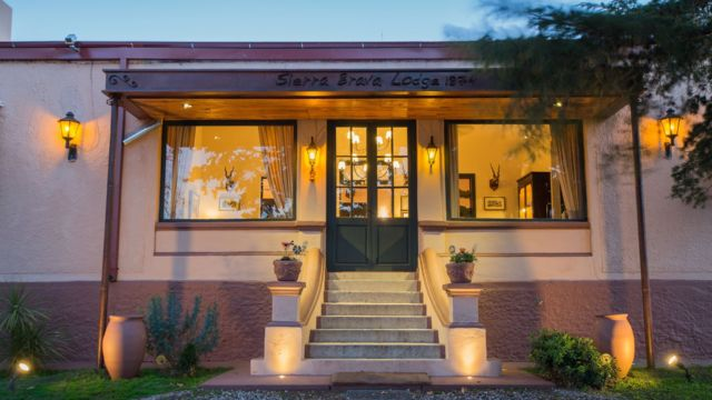 Dove Hunting Argentina'