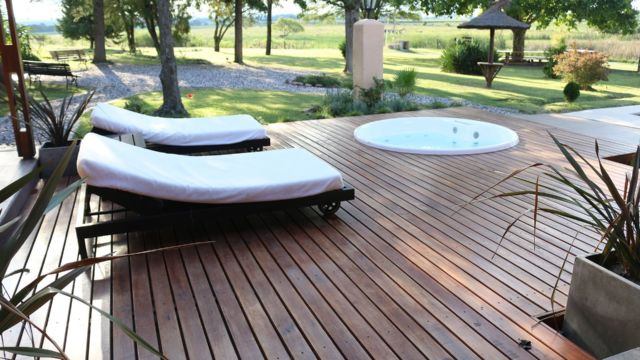 Bird Hunting Argentina'