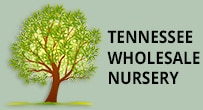 Tennessee Nursery LLC Logo